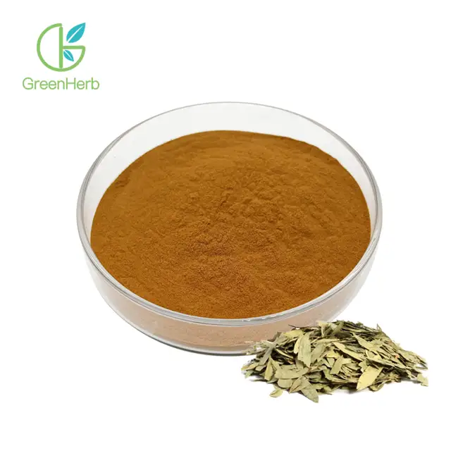 Senna Leaf Extract Powder